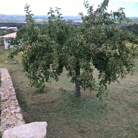 Casa De Paradussa Paraduca